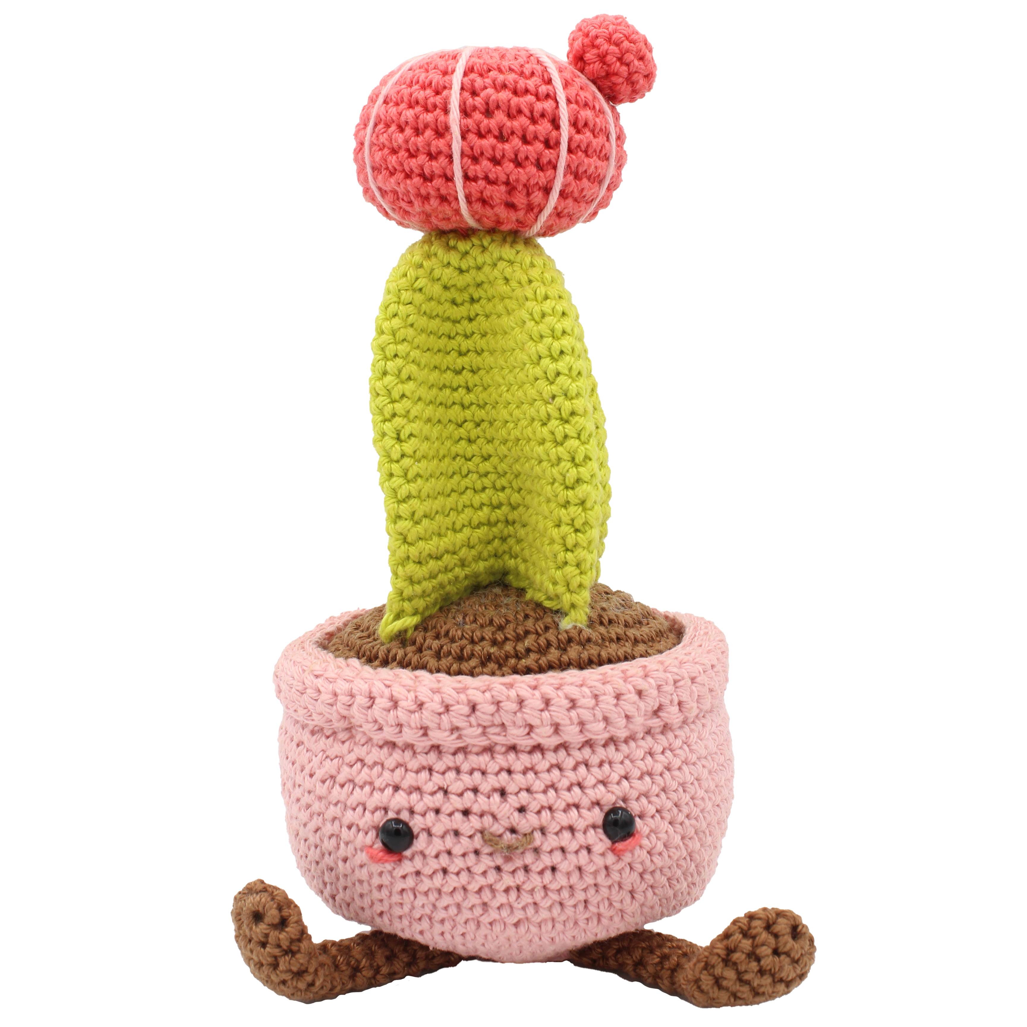 Moon Cactus